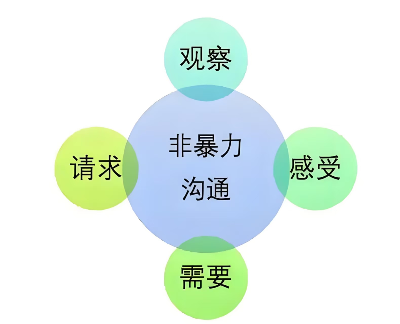 微信图片_20250428165212.jpg
